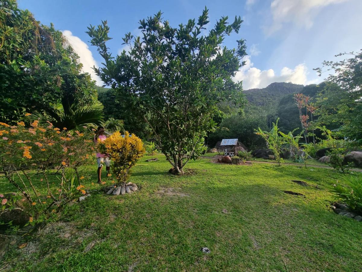 Mirella Villa Island Princess Villa Anse Volbert Village Eksteriør bilde